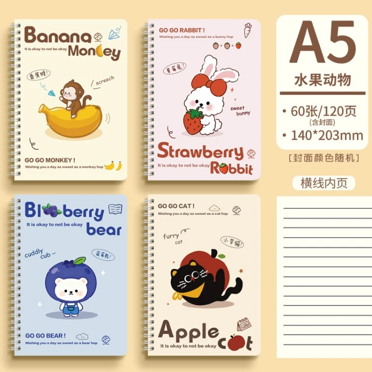 Additional JOYPAPER notebook style 11